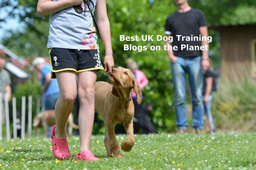 45 Best UK Dog Training Blogs and sites in 2023